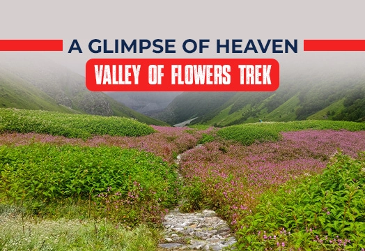 Valley of Flowers - Glimpse of Heaven with Trek The Himalayas